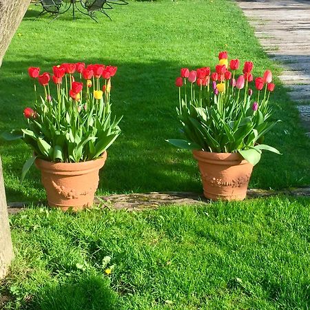 Holiday Resort Svarny Ruzomberok Bagian luar foto